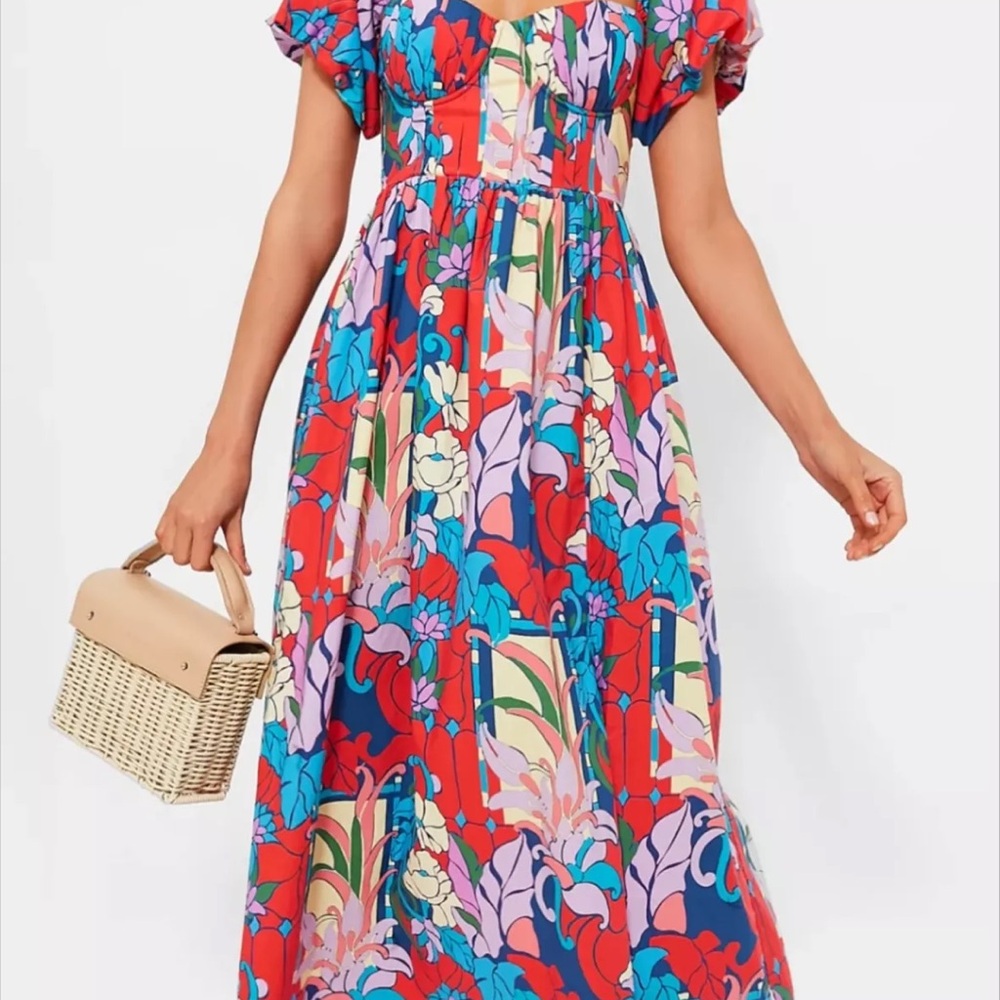 NWT Tuckernuck Climbing Cosmos Valerie Dress SZ 2 - Picture 2 of 10